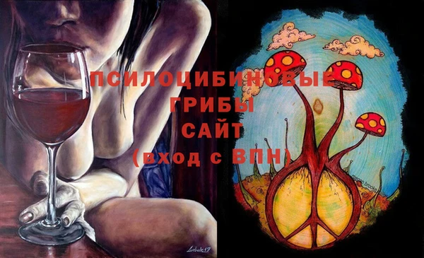ГАЛЛЮЦИНОГЕННЫЕ ГРИБЫ Касимов