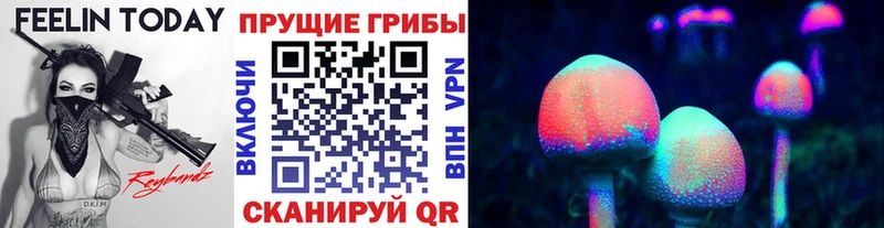 купить наркотики цена  KRAKEN зеркало  Галлюциногенные грибы MAGIC MUSHROOMS  Мышкин 
